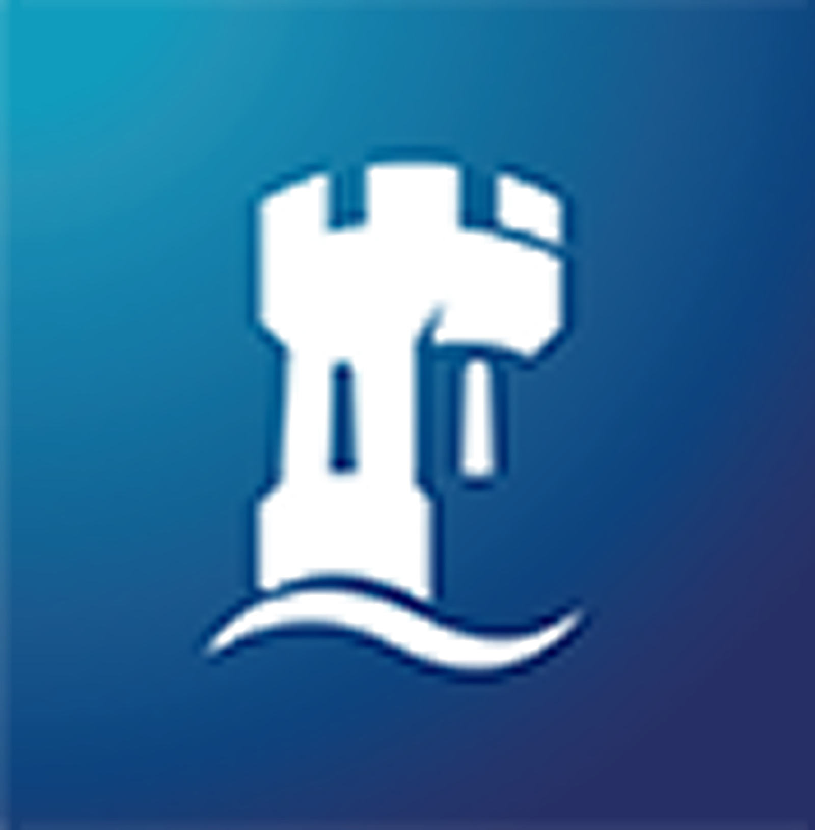 Nottingham University Business School Logo